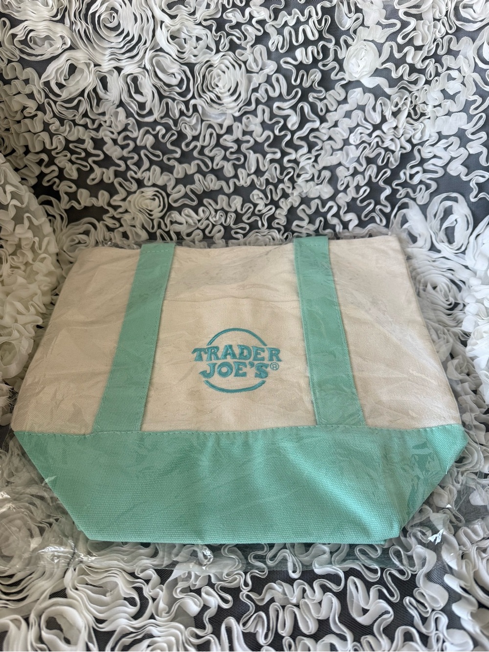 BNWT! Trader Joe’s mini pastel Cream and Mint Canvas Tote Bag